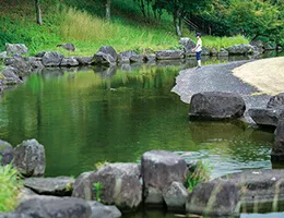 菊陽杉並木公園さんさん