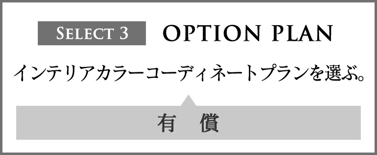 option plan