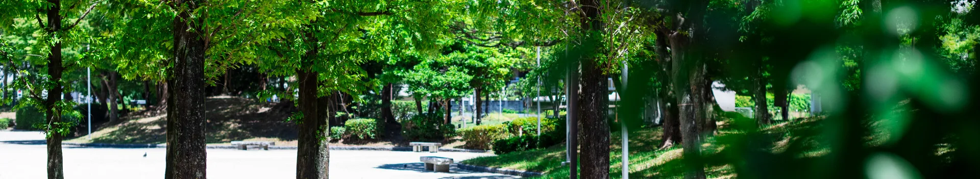 エイル諸岡テラス 立地 image