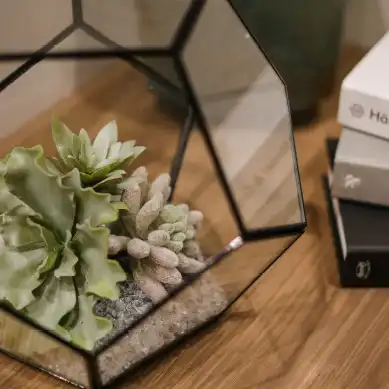 居室デザインimage