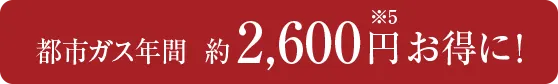 都市ガス年間 約2,600円※5お得に！