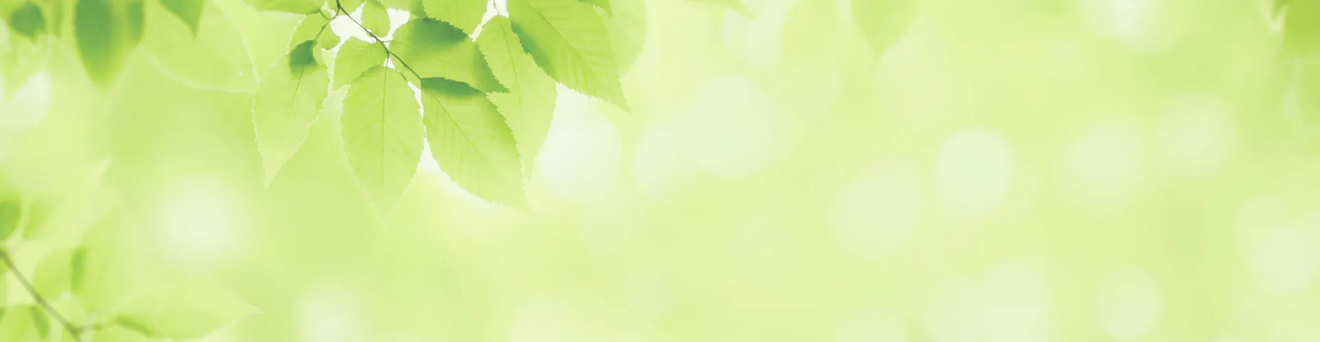 エイル諸岡テラス ZEH-M×低炭素 image