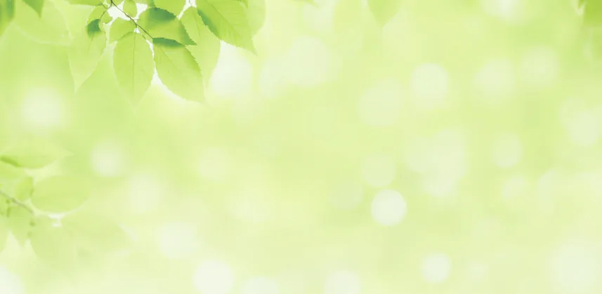 エイル諸岡テラス ZEH-M×低炭素 image