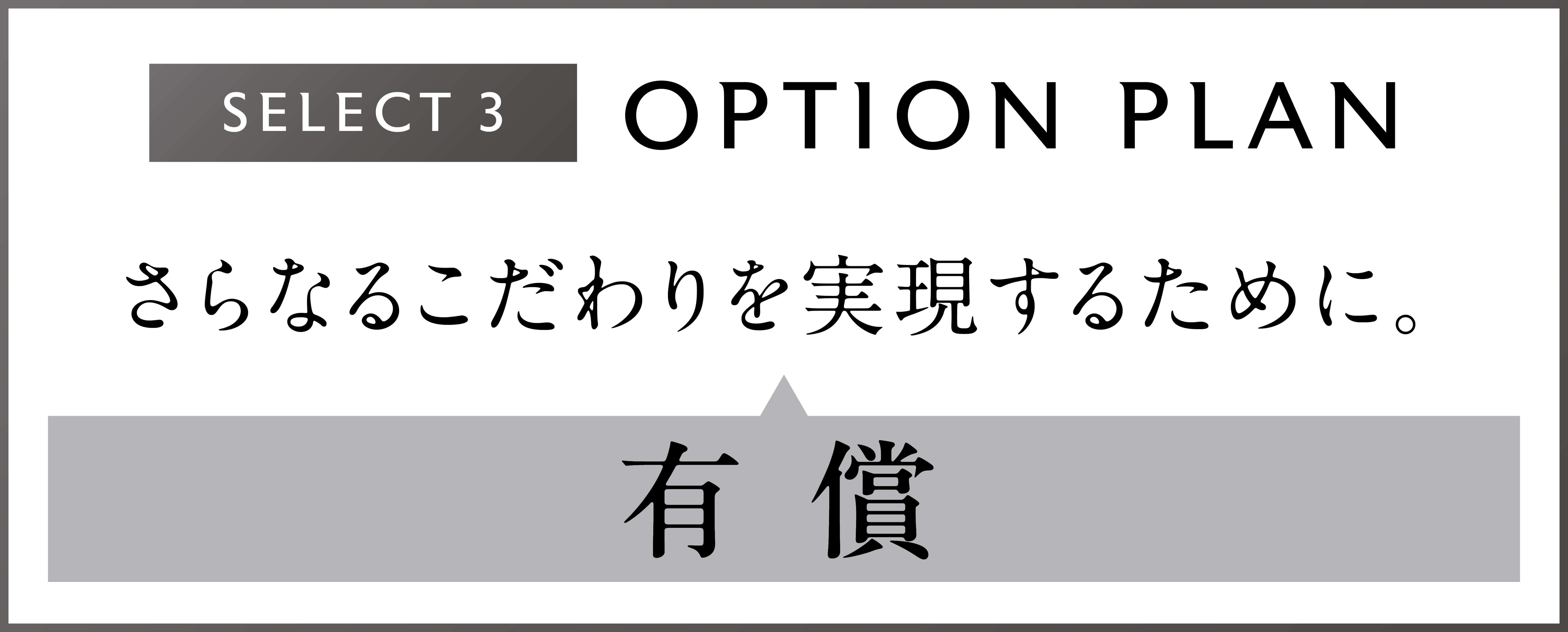 Select.3 Option Plan