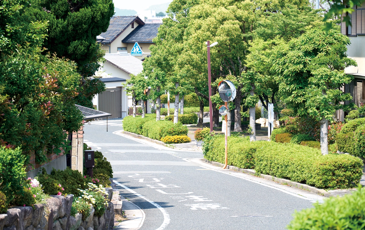 近隣の住宅街