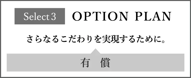 option plan