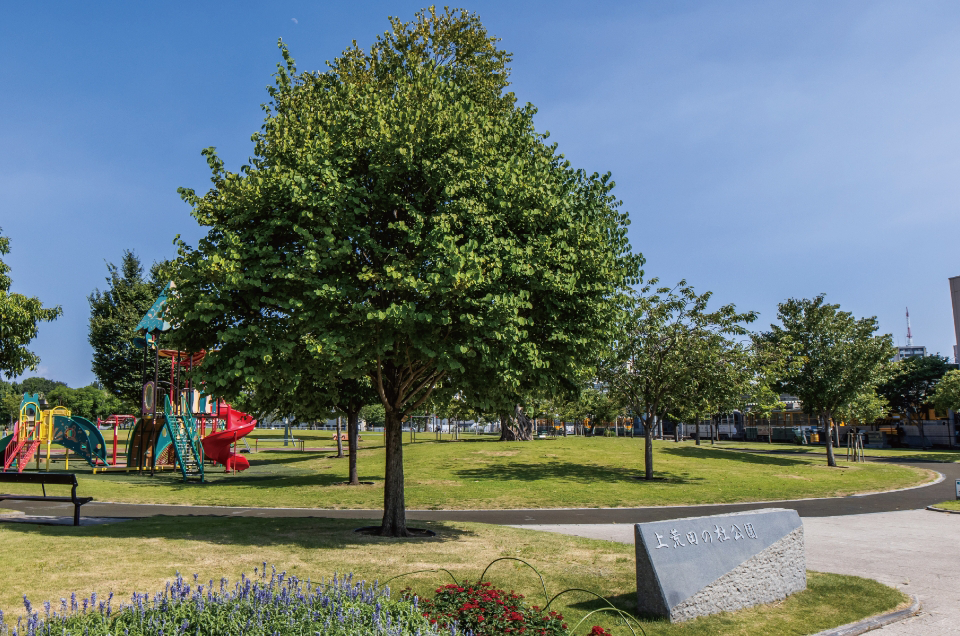 上荒田の杜公園